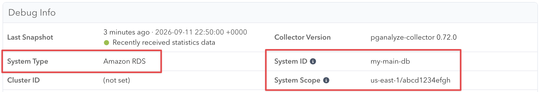 Screenshot of Debug Info panel on server Settings page, showing the system type, ID and scope